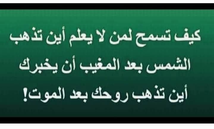 فؤاد خضر tweet media