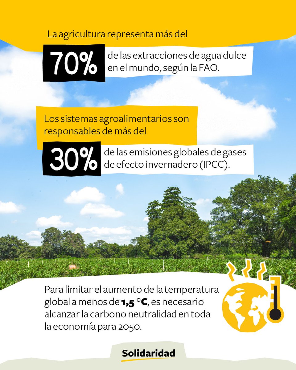 Solidaridad Network 🇨🇴 tweet media