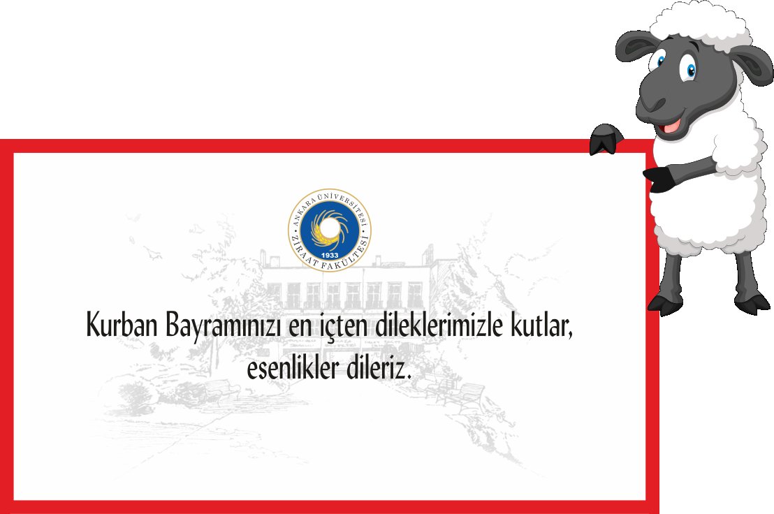 #kurbanbayramımızmuebarekolsun