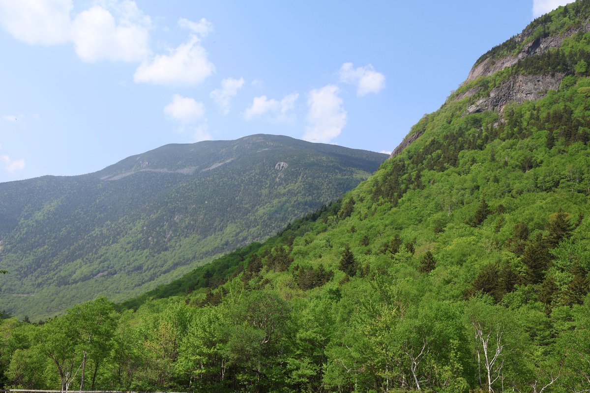 J_Sprankle's tweet image. Despite haze from wildfire smoke, the views in the White Mountains didn’t disappoint! There’s still some patchy snow here and there, especially in Tuckerman Ravine ⛰️