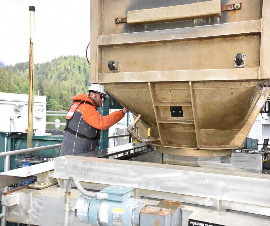 Another record year for our Baker Dam’s Innovative Fish Collection System as over 1.3 million juvenile fish traveled out to sea this spring. Another example of our fish passage facilities–floating surface collectors, and fish hatchery at work.

Learn more: ms.spr.ly/6010SmhHg