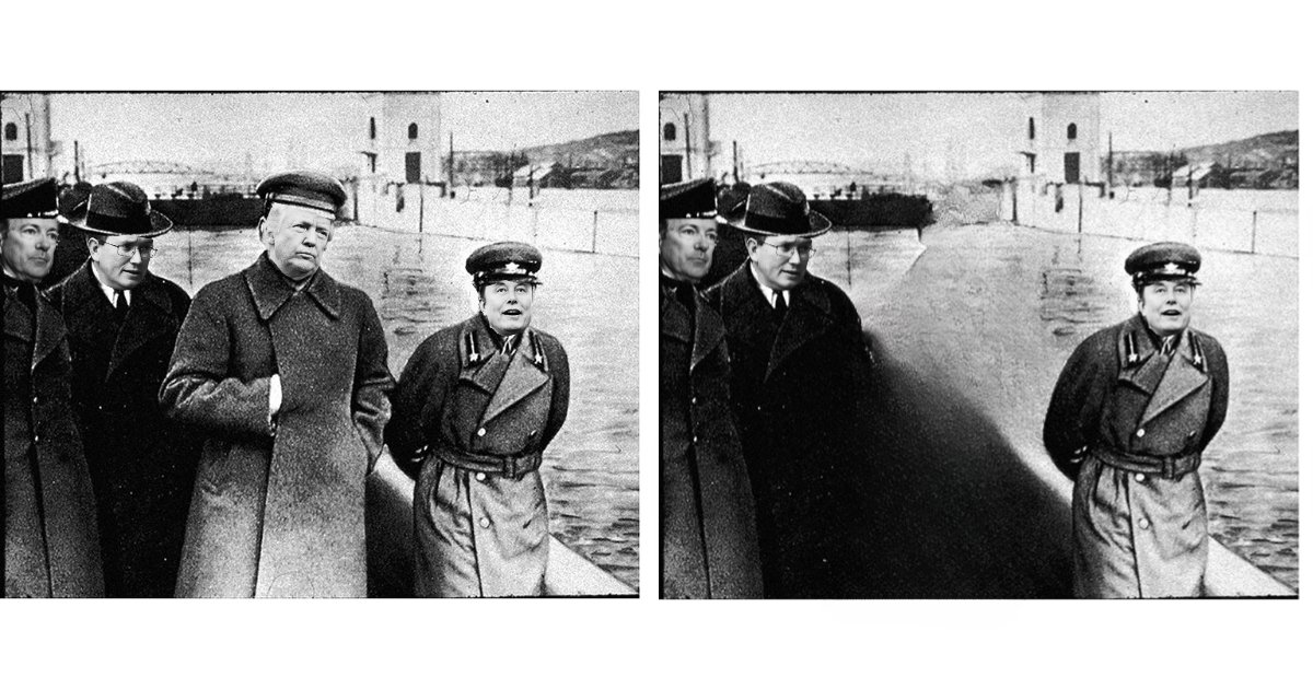 Cara "Medical Freedom" Schulz tweet media