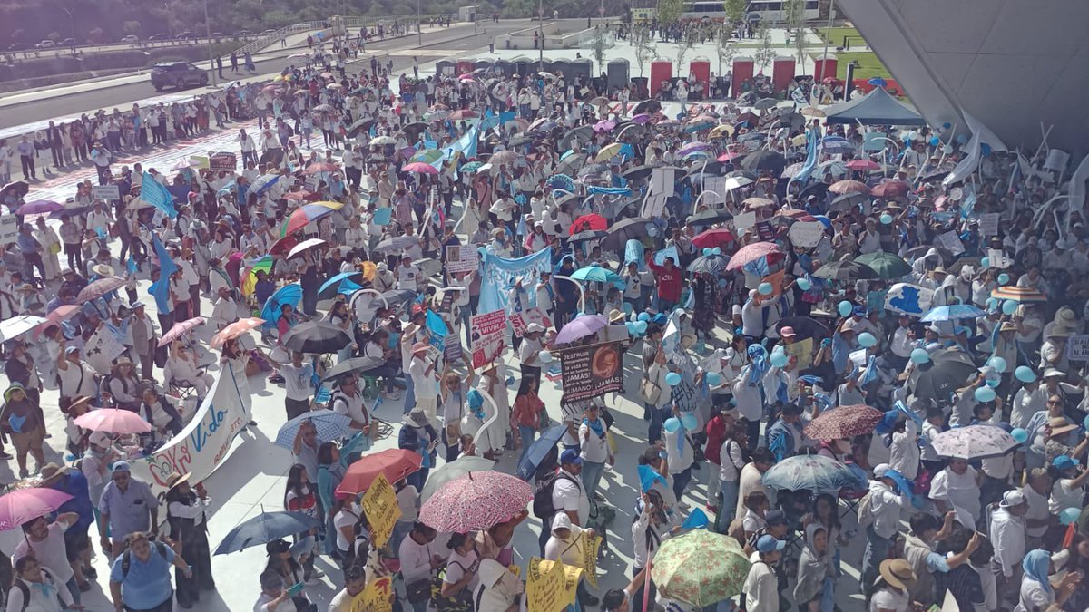 Actívate tweet media