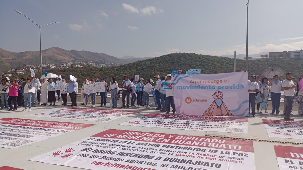 Actívate tweet media