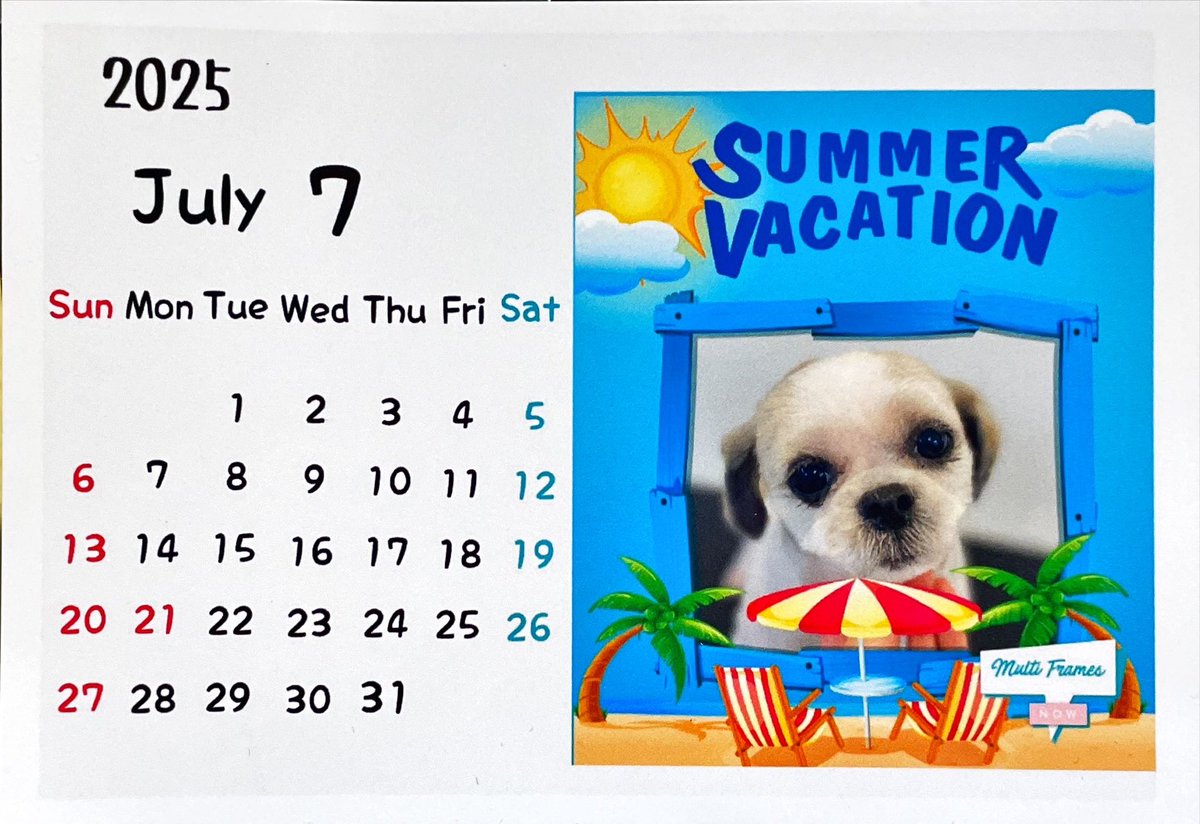 おはようプリケツワン🐶
さっぱりサマーカットしたので
少し早い夏をおすそ分け🤗