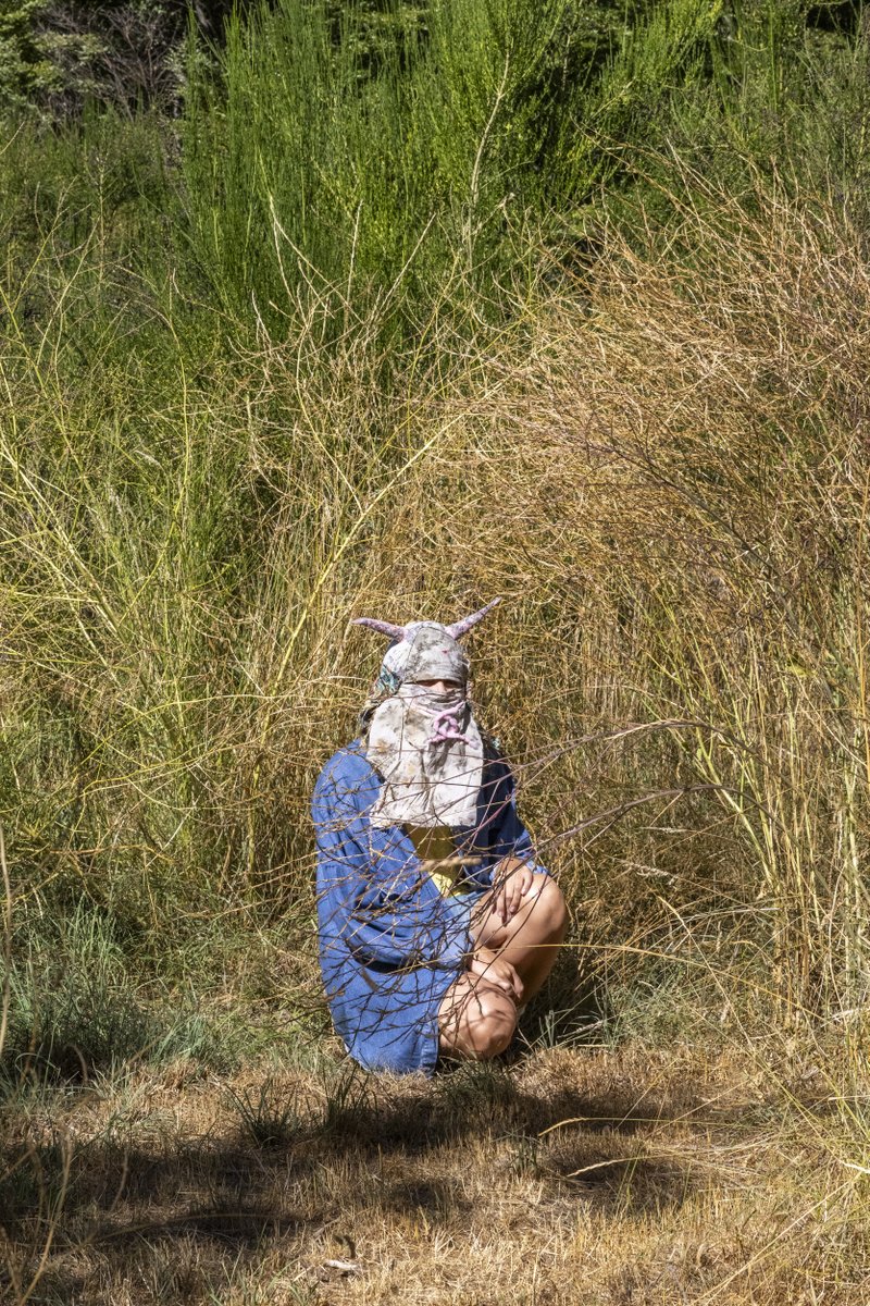 Chamaland tweet media