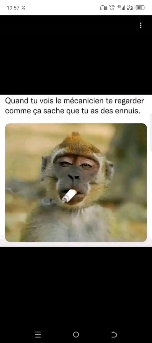 JOSENTAMBWE01's tweet image. 