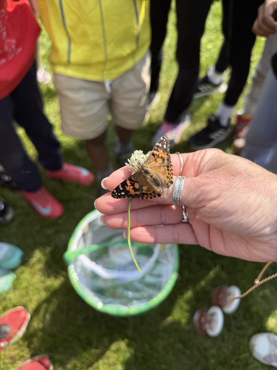 The butterflies have been released! #ivyhillleague