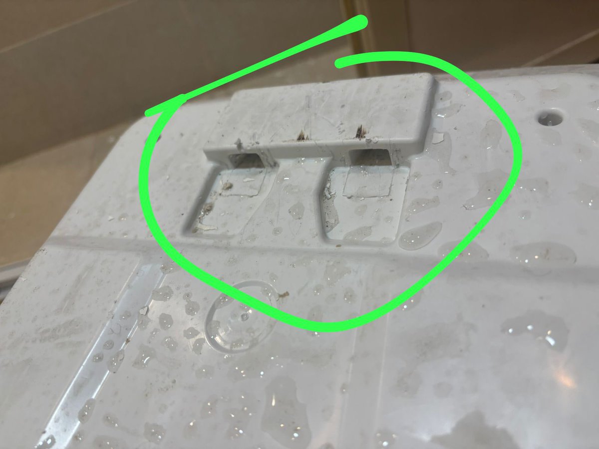 عابرة سبيل tweet media