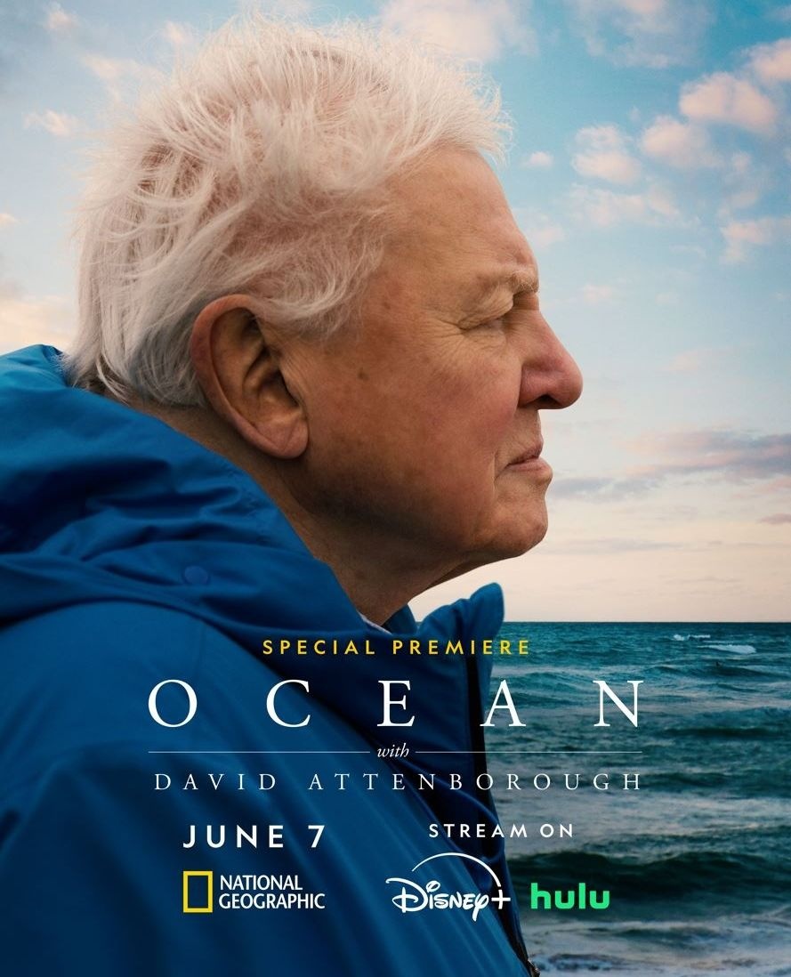Wondering how to celebrate #worldenvironmentday ?⁠
⁠
🌊 Don't miss #sirdavidattenborough and his return to our #ocean 🎙️🐠⁠
⁠
His latest film is a stunning tribute to Earth's #oceans and the urgent call to protect them - stream this weekend on Disney+, Hulu, or Nat Geo!