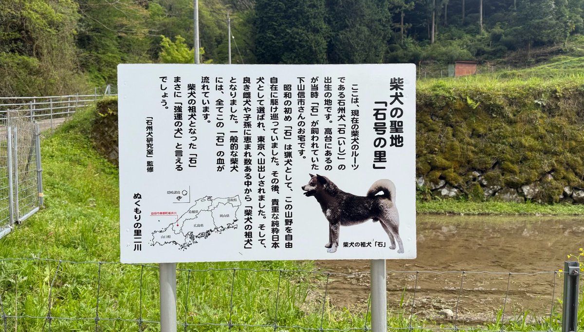 Ishi • CTO on Ethereum tweet media