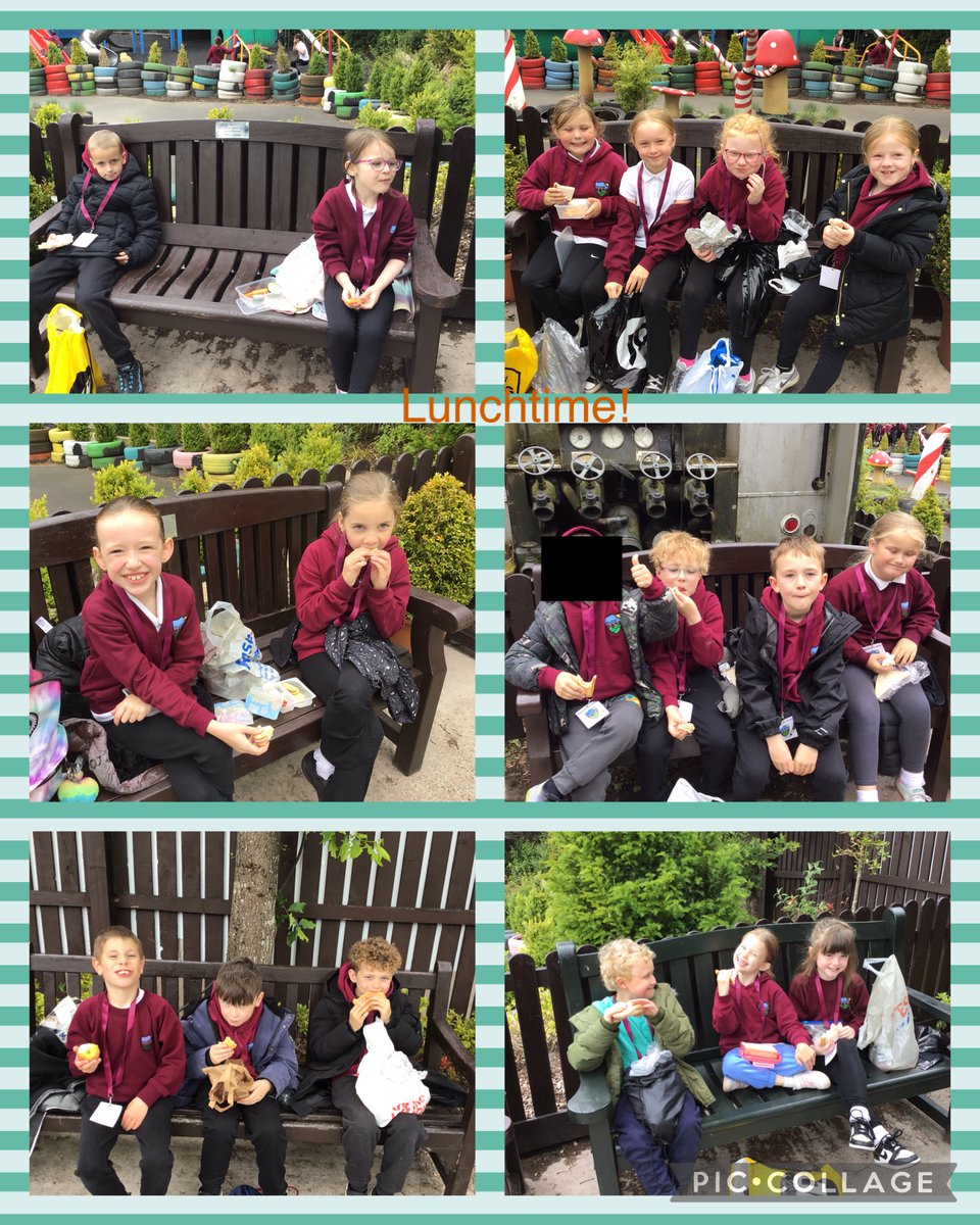 P3b enjoying our trip to Five Sisters Zoo today. 😀