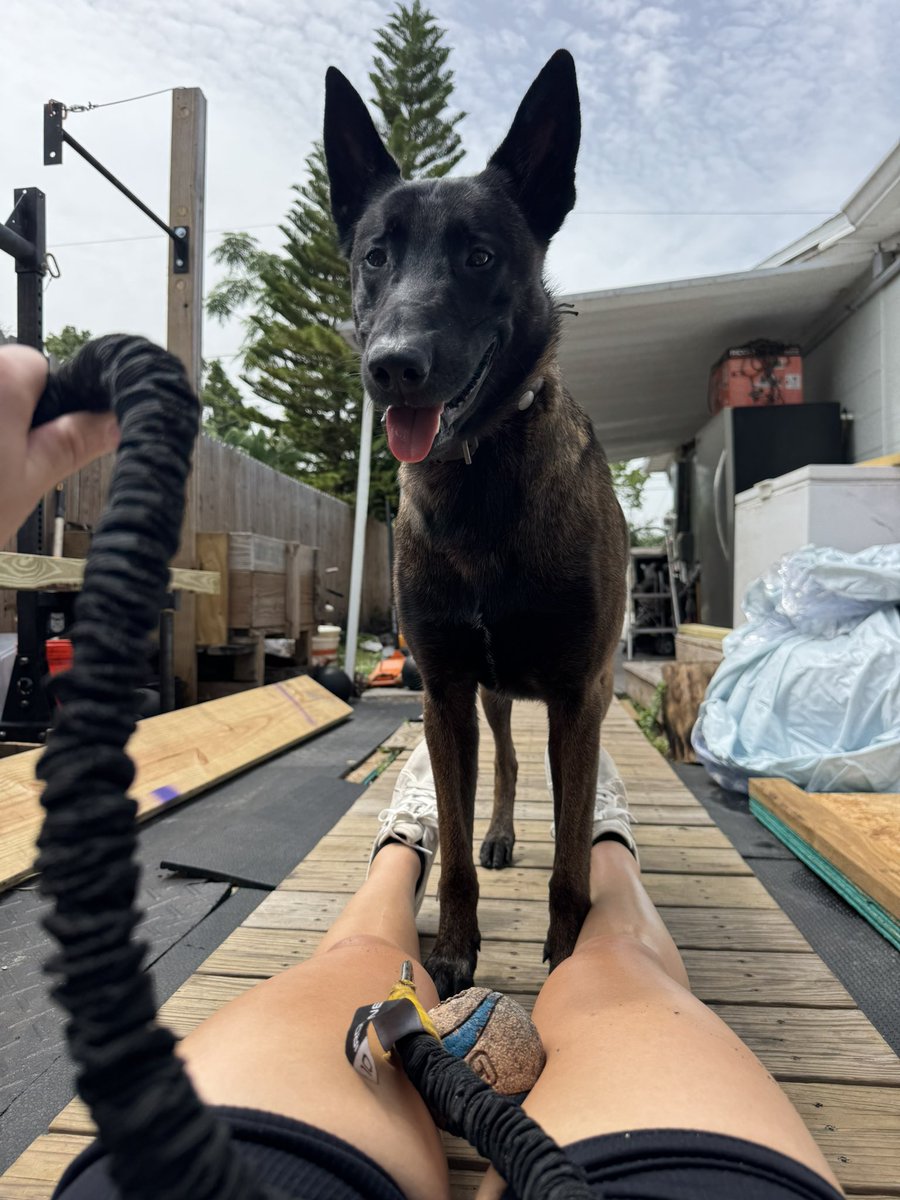 Slick Vick tweet media