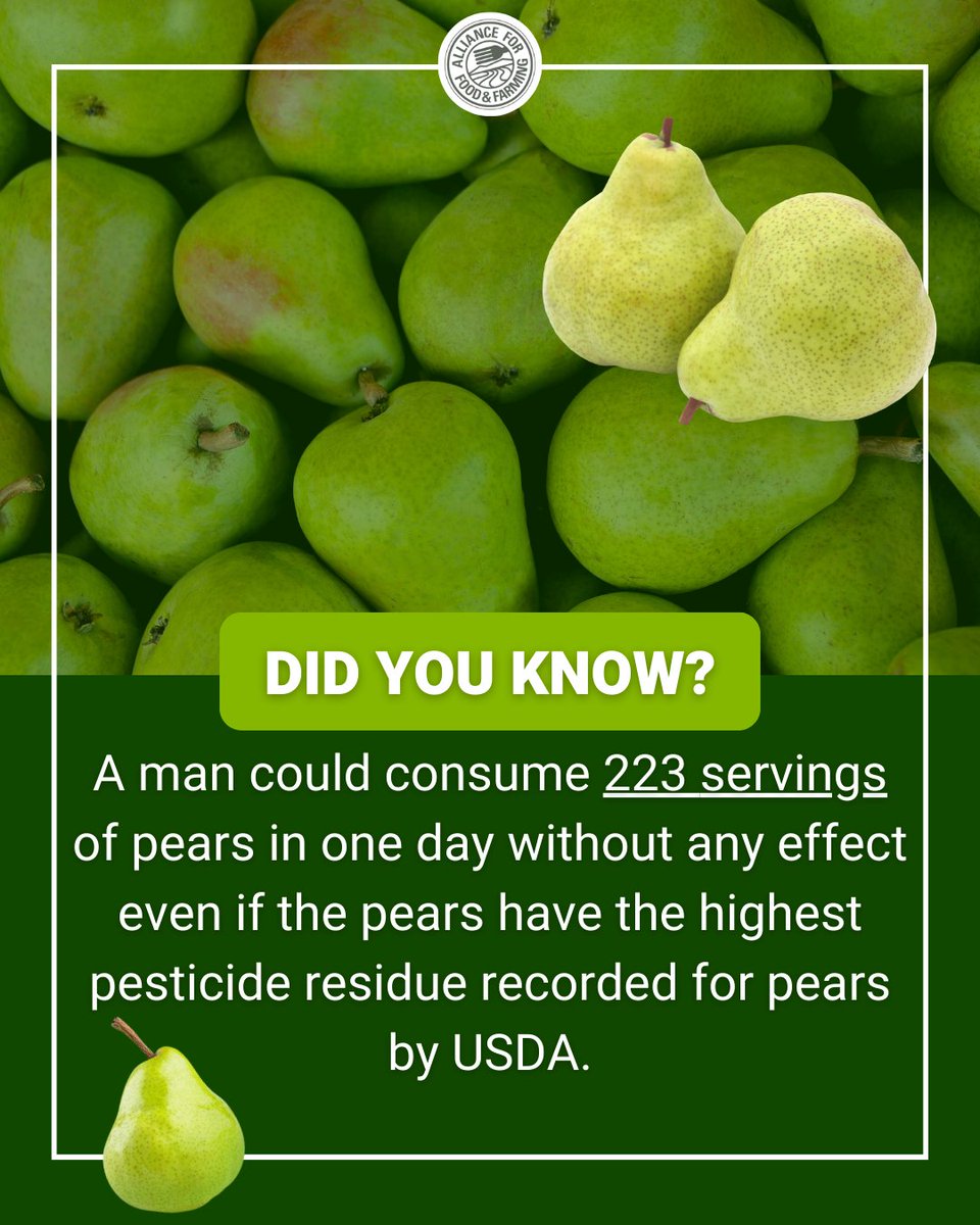 🍐 Surprising but true: A man could eat 223 servings of pears with the highest pesticide levels recorded—and still be fine.

Both organic &amp; conventional fruits and veggies are safe, healthy, and vital for a better life. 💚 #SafeProduce #EatMoreFruitsAndVeggies