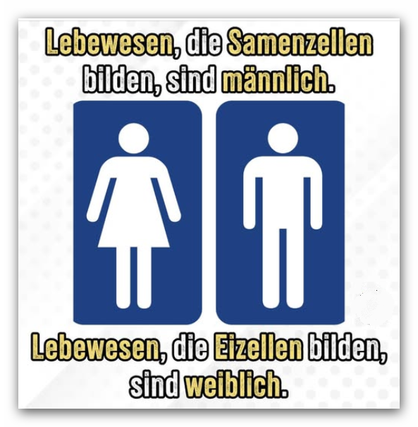 silverfrau's tweet photo. ♂️♀️ https://t.co/qlJNn53Q5t