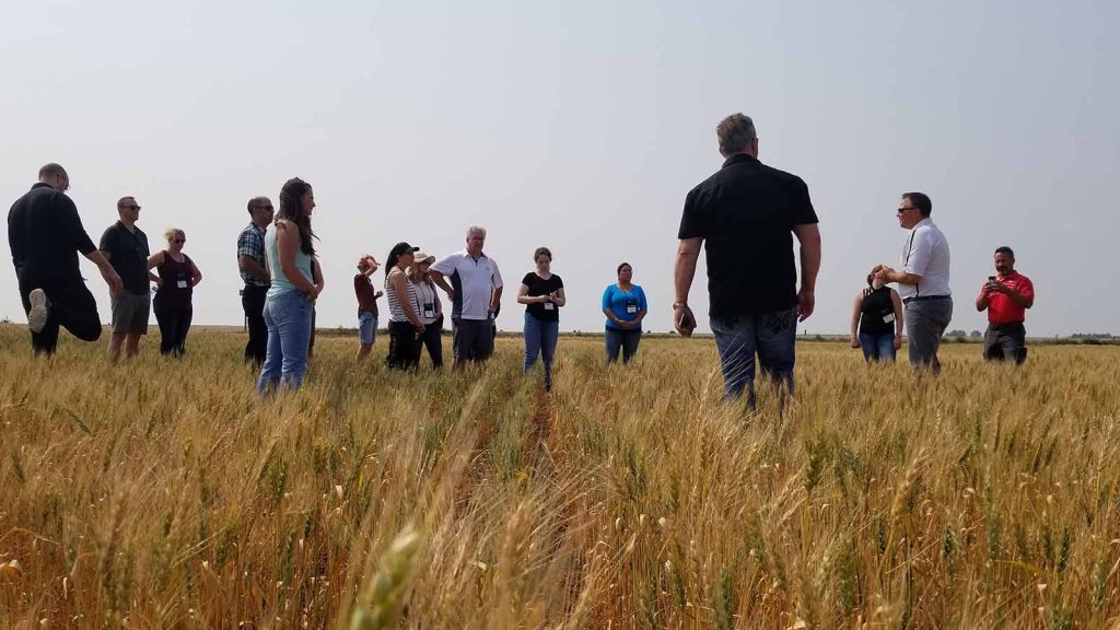 🌾 LOOKING for upcoming agriculture events?

CHECK OUT Farm &amp; Food Care Saskatchewan's event calendar for updates on conferences, AGMs, workshops, and more! 🍁

f.mtr.cool/ljjochjdwt