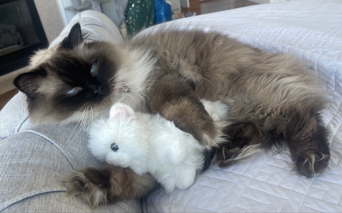 DataRepublican (small r) tweet media