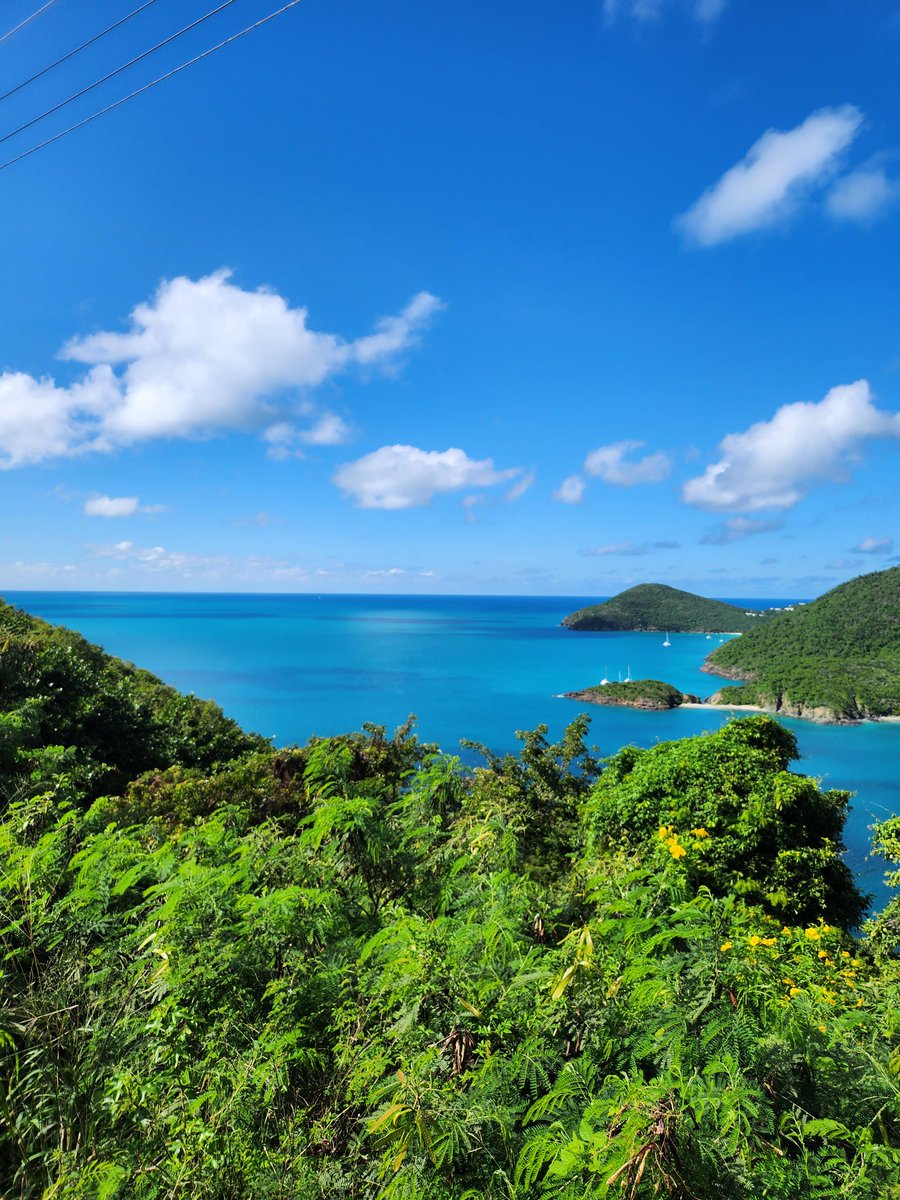 Today is World Environment Day  🌎🌴🦎💚

Throwback to when academics from @UniversityofEdinburgh School of Geosciences visited the BVI. The team worked with local agencies to study rocks for links to early Earth! 

#WorldEnvironmentDay2025
