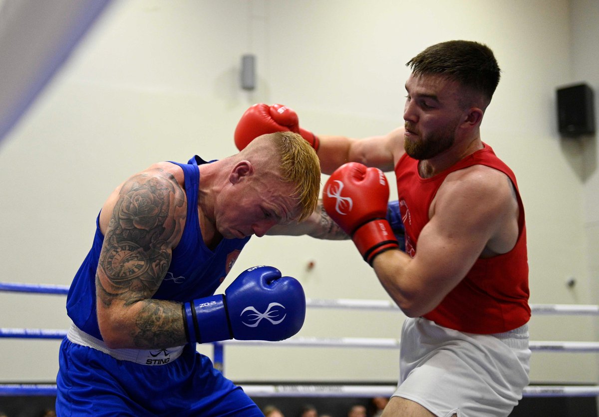 Boxing Ireland tweet media