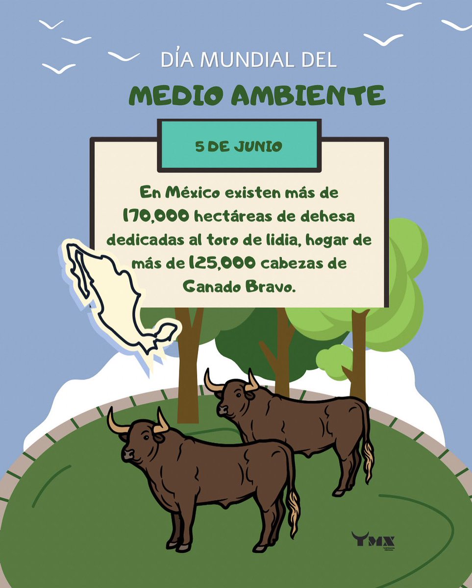 TauromaquiaTMX's tweet photo. 𝑫𝒊́𝒂 𝒎𝒖𝒏𝒅𝒊𝒂𝒍 𝒅𝒆𝒍 𝒎𝒆𝒅𝒊𝒐 𝒂𝒎𝒃𝒊𝒆𝒏𝒕𝒆 🍃 🐂 
Grandes dehesas dedicadas únicamente al cuidado del Toro de Lidia, gran aporte al medio ambiente. 

➕ de 170,000 hectáreas 
➕ de 125,000 cabezas de ganado bravo 
Solo en México 🇲🇽 

La Tauromaquia es Ecología 🌎 https://t.co/p3mzLDNWqq