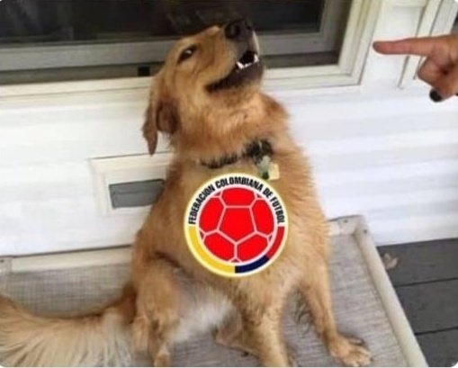 Perú está casi eliminado, no vas a revivirlo.