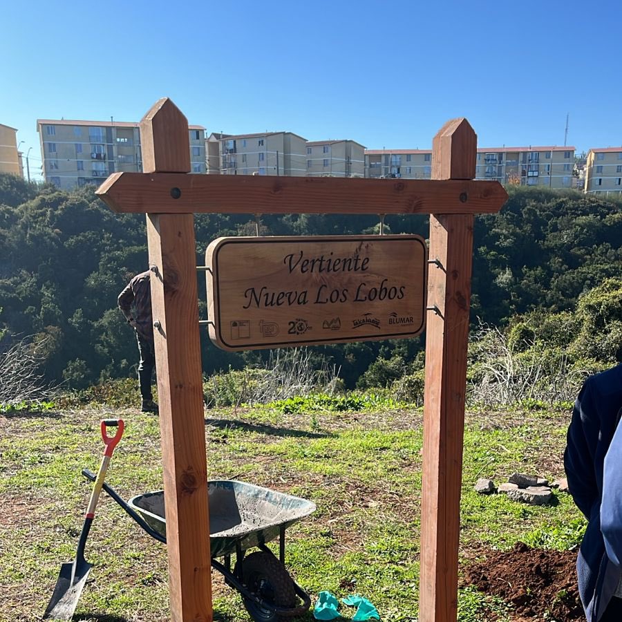 CONAF Biobío (@conafbiobio) on Twitter photo En el #DíaDelMedioAmbiente nos sumamos a una jornada ecológica en los cerros de #Talcahuano, sector Los Lobos 🌿
Plantamos árboles nativos 🌱, limpiamos el entorno 🗑️ e instalamos señalética 🪧
Instancia encabezada por la <a href="/munitalcahuano/">MuniTalcahuano</a> 👏 En el #DíaDelMedioAmbiente nos sumamos a una jornada ecológica en los cerros de #Talcahuano, sector Los Lobos 🌿
Plantamos árboles nativos 🌱, limpiamos el entorno 🗑️ e instalamos señalética 🪧
Instancia encabezada por la <a href="/munitalcahuano/">MuniTalcahuano</a> 👏