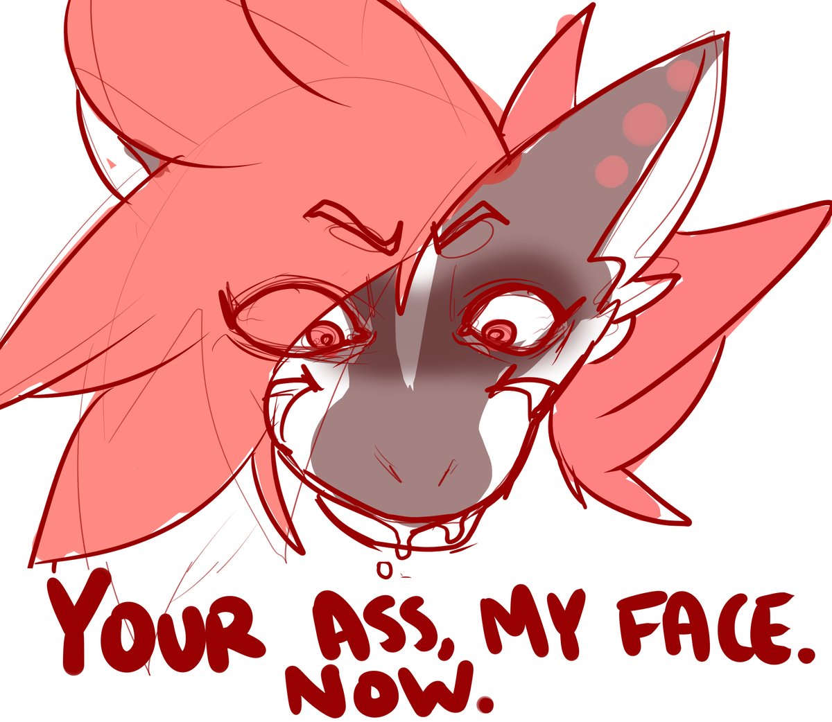 <a href="/Mavsharkie/">Mav Sharkie</a> 
when a scary drooling shark tells you this... uh.. do it?