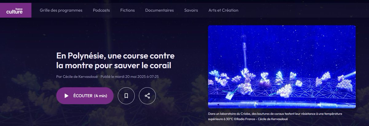 Te Tia Ara tweet media