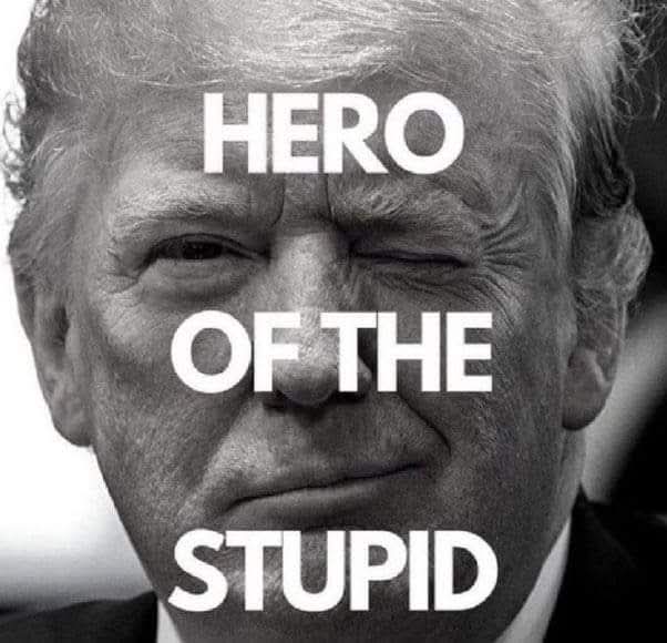 tumi22stew_doug's tweet photo. @charliekirk11 You people work hard to show how incredibly stupid you are. https://t.co/T61SCjvU4z