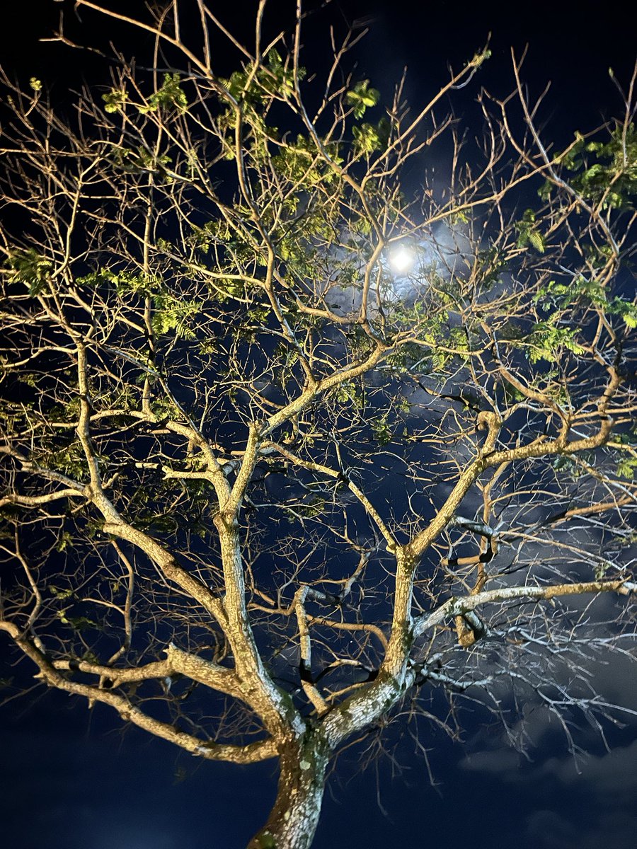 _teeago's tweet image. 