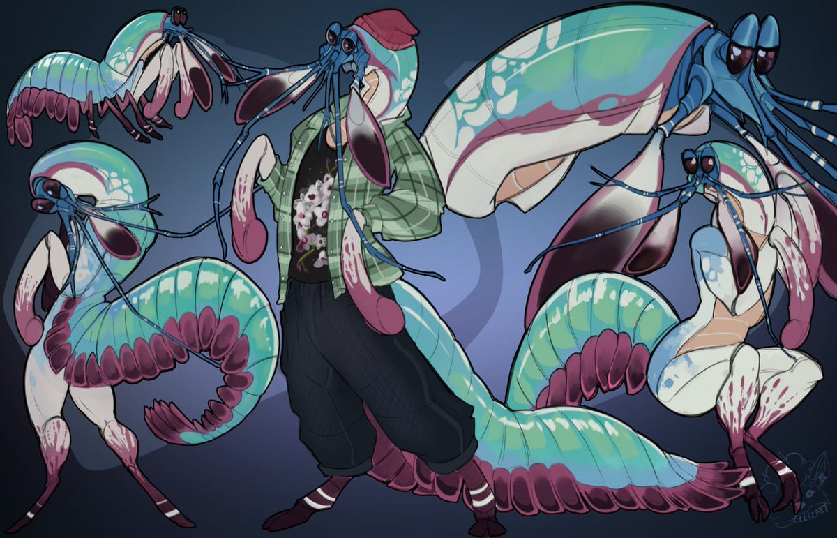 🩵Mantis shrimp custom 🩵