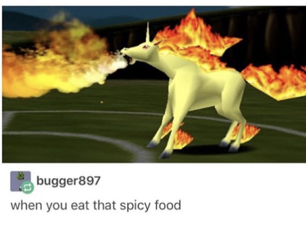 Pokémon Tweets ⚡️ (@pkmnshitpost) on Twitter photo 