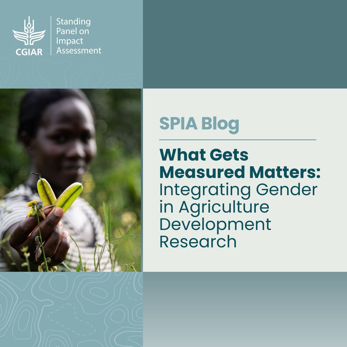 CGIAR SPIA (@cgiarspia) on Twitter photo 🌱 What Gets Measured Matters!
New blog by <a href="/HMalapit/">Dr Hazel Malapit (she/her)</a> & @dmlopeja09: Why integrating gender in ag research is crucial—especially for women’s empowerment & <a href="/CGIAR/">CGIAR</a> innovations adoption.
📖 Read how: bit.ly/genderagmeasure
<a href="/IAES_CGIAR/">CGIAR Independent Advisory and Evaluation Service</a> #AgGender #WomenInAg 🌱 What Gets Measured Matters!
New blog by <a href="/HMalapit/">Dr Hazel Malapit (she/her)</a> & @dmlopeja09: Why integrating gender in ag research is crucial—especially for women’s empowerment & <a href="/CGIAR/">CGIAR</a> innovations adoption.
📖 Read how: bit.ly/genderagmeasure
<a href="/IAES_CGIAR/">CGIAR Independent Advisory and Evaluation Service</a> #AgGender #WomenInAg