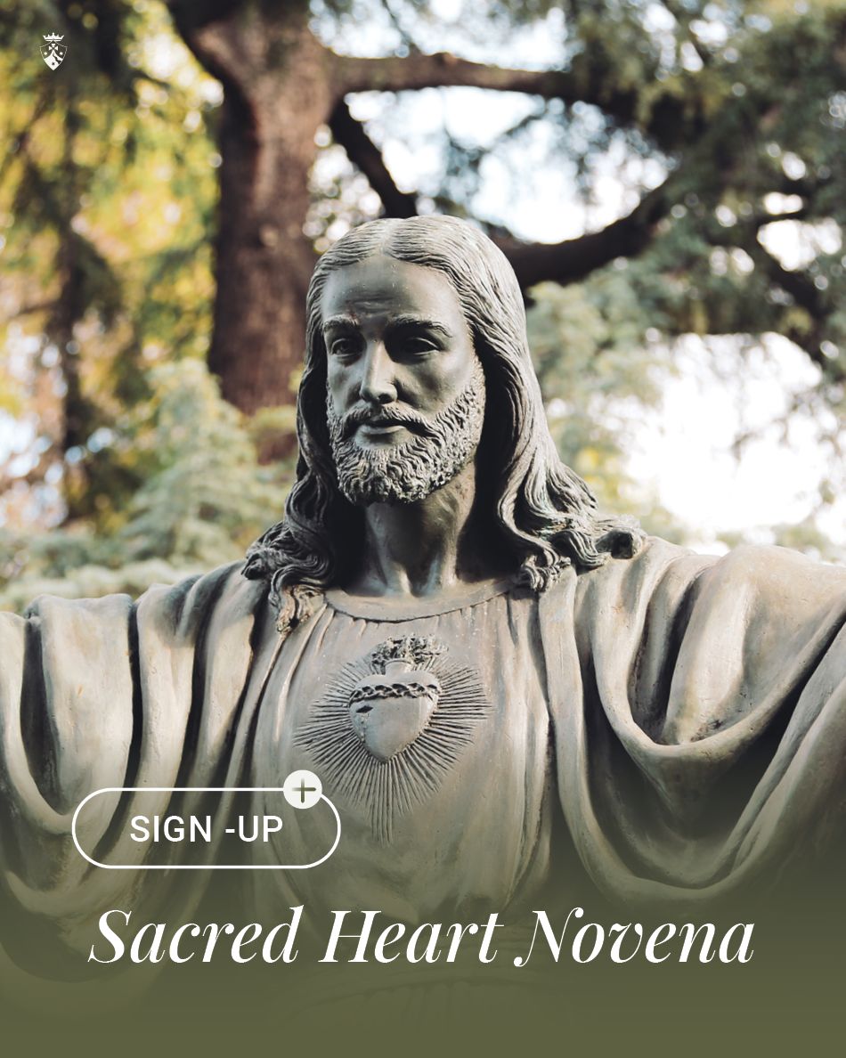 CarmelitesOCD's tweet image. The Solemnity of the Sacred Heart is Friday, June 27th. Walk with the Sisters in prayer as we draw closer His Heart. Sign up to have the novena delivered daily to your inbox: 
buff.ly/hRQkeS3

 #SacredHeart #JesusITrustInYou #Novena