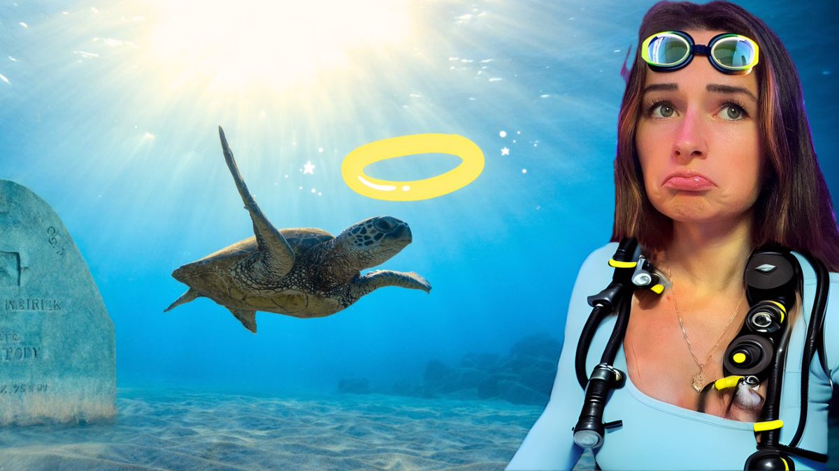 NEW YOUTUBE VIDEO OUT! VIEWER TARGETS STREAMERS PRECIOUS SEA TURTLES youtu.be/y63guh8pC3U?si…