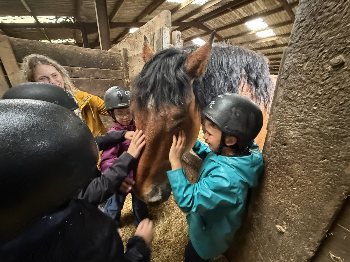 Our St Peter’s CE Primary School INSIDE OUTers learned the way, to care for a horse and ride one today. With gentle hands and spirits brave and kind, they discovered what makes a horse happy inside!
#MagicalDaysOut #5KeystoHappiness #Horsesome