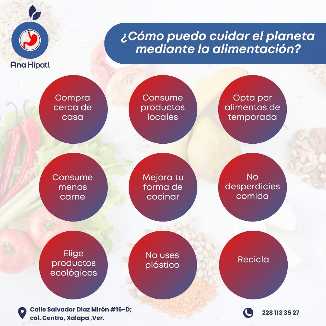 Hoy 5 de junio día mundial del medio ambiente les comparto los esquemas de alimentación más amigables con el medio ambiente y algunos tips para cuidar el planeta mediante la alimentación