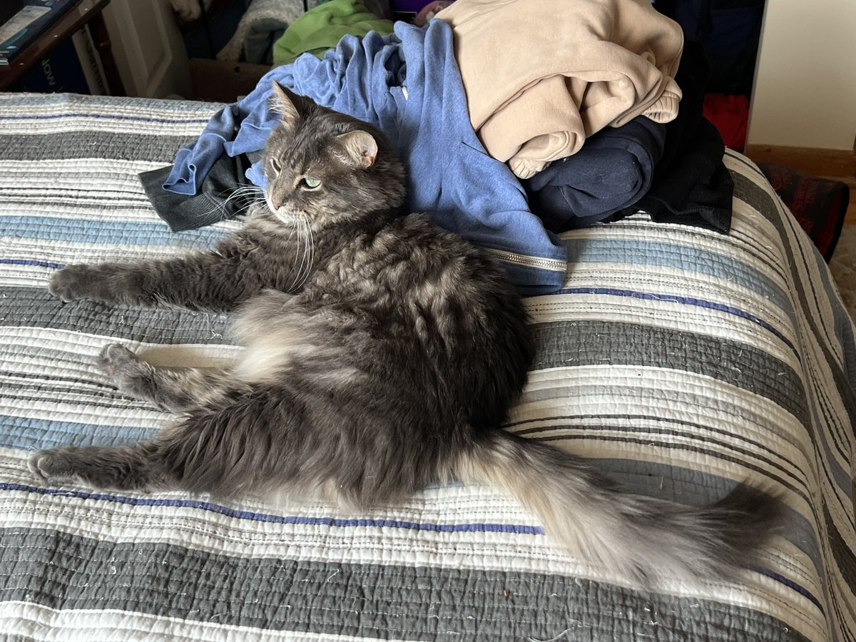 We’re here for Elon getting deported. We’re here for Trump appearance in Epstein files being released. We’re here for the government cancelling spaceX contacts. We’re here for SpaceX cancelling government contracts. We are fucking here for all of it. Burn it all down!!