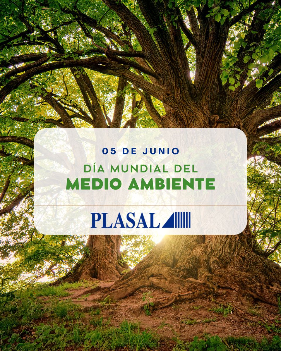 Hoy, en el Día Mundial del Medio Ambiente, reafirmamos nuestro compromiso con un futuro más sostenible.
Avanzamos con convicción hacia procesos más responsables, eficientes y conscientes, entendiendo que cada acción, por pequeña que parezca, deja una huella.  #Plasal