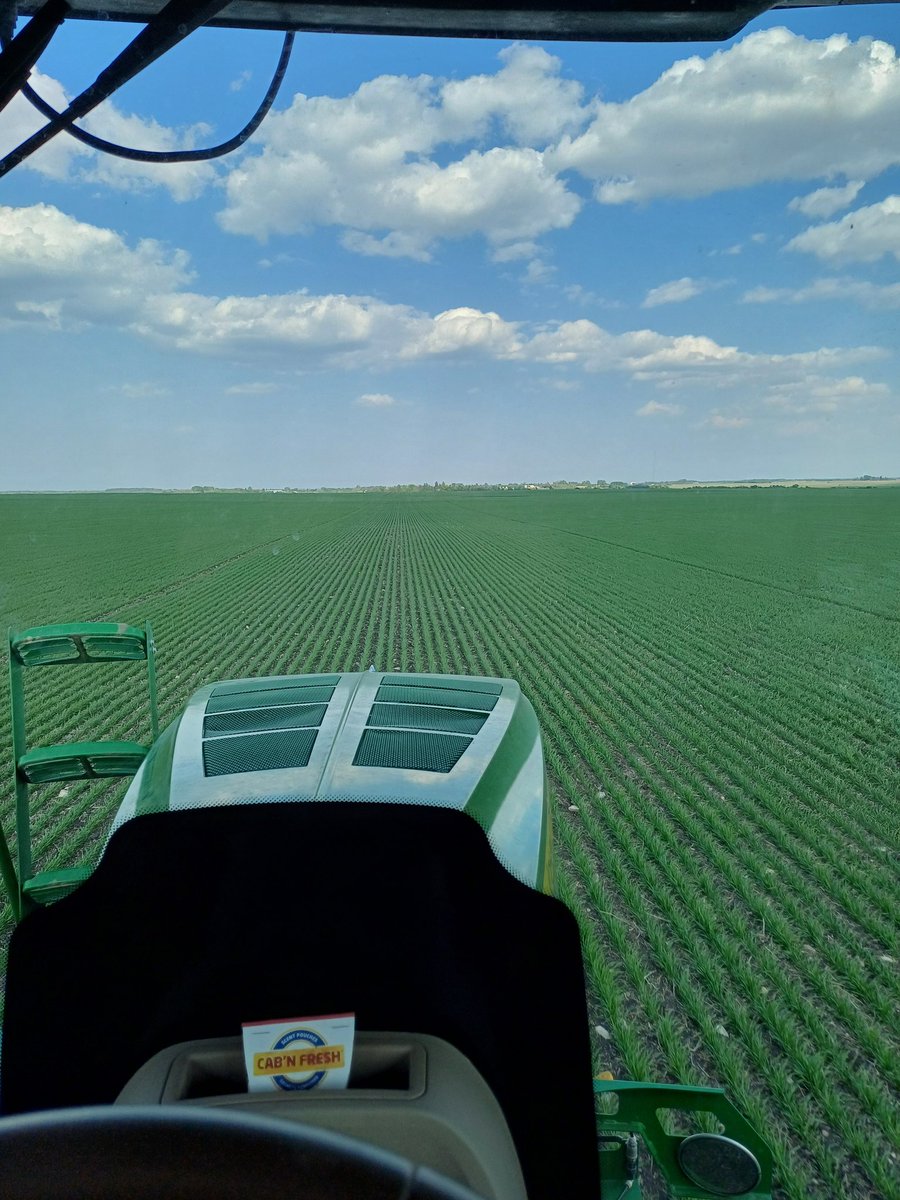 Maybe a touch on the earlier side but a bird in the hand is worth 2 in the bush if wind/rain forecast stays true. #spray25 #residual