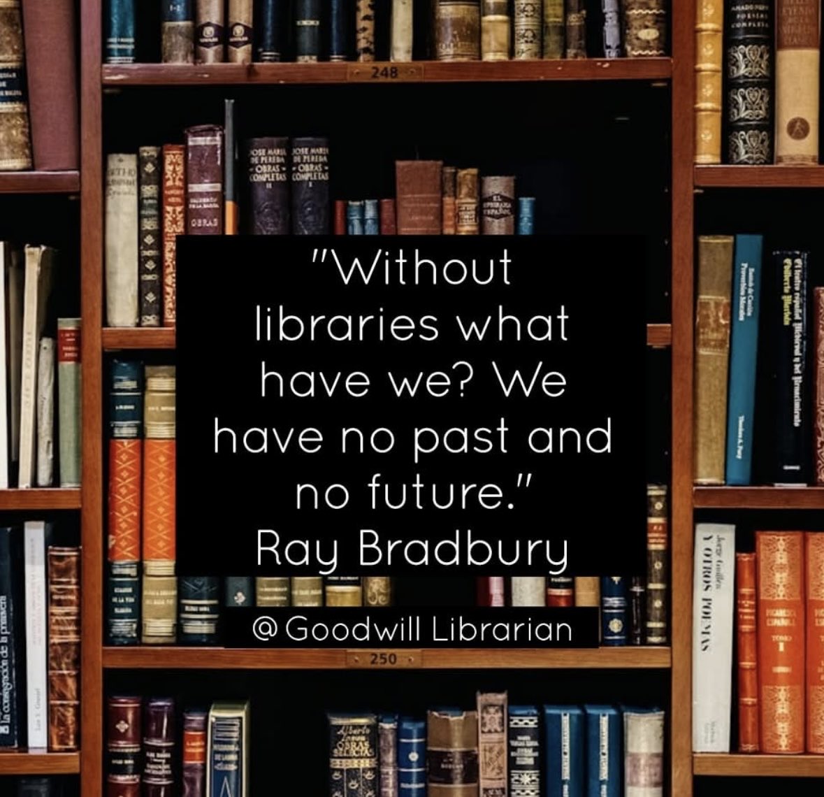 Lola Renee Smallwood (@lolasmalls) on Twitter photo 