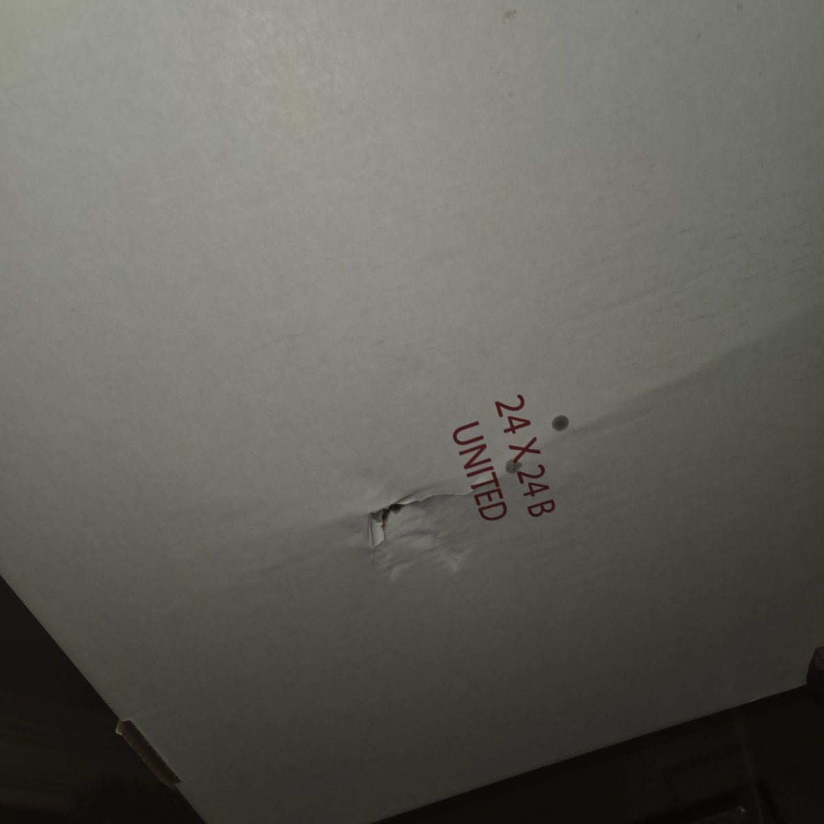 MissTeriB's tweet photo. Imagine paying over $50 for a pizza and wings using @DoorDash and the #Dasher  arrived on a bike with the box sideways. Your box has a hole and the pizza is destroyed but @DoorDash says they'll give you $5 (five dollars) for your troubles. #Back2UberIgo 😩 https://t.co/w45OpcA7ia
