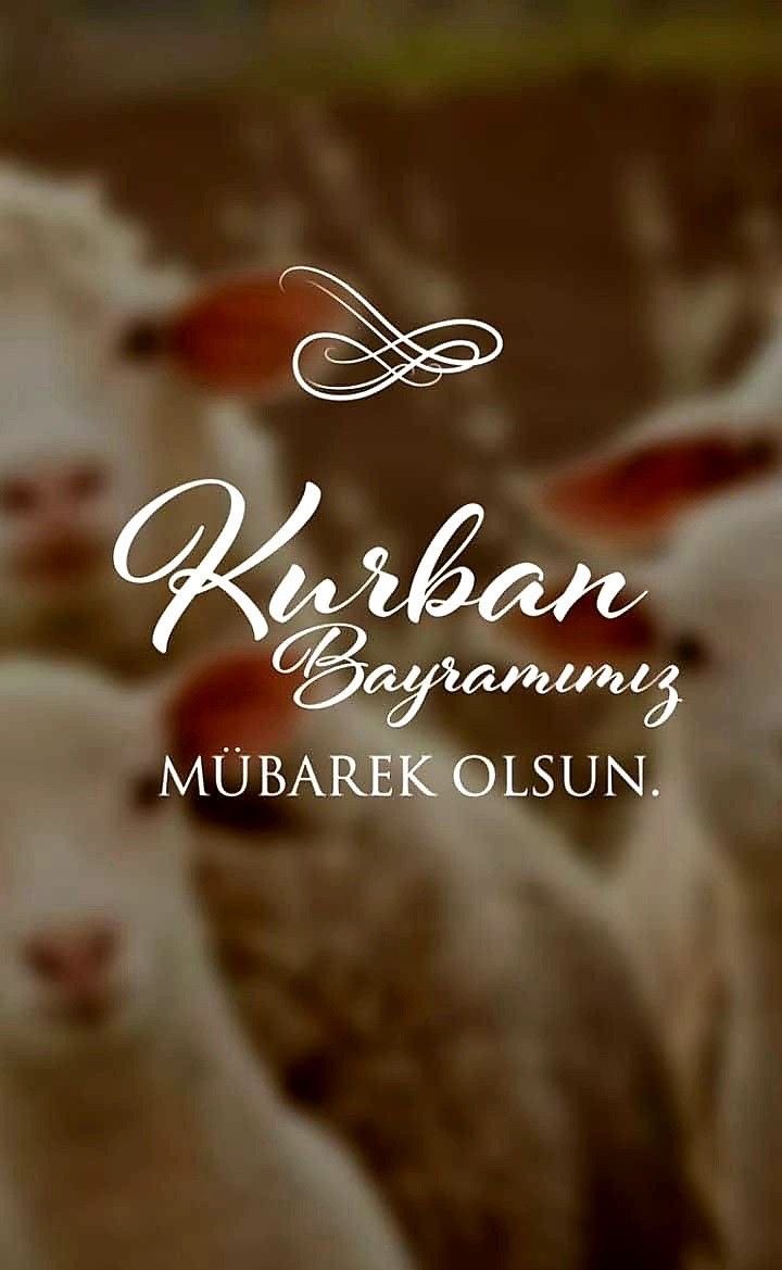 Toroslar Anafartalar İlkokulu (@toroslaranafar1) on Twitter photo 