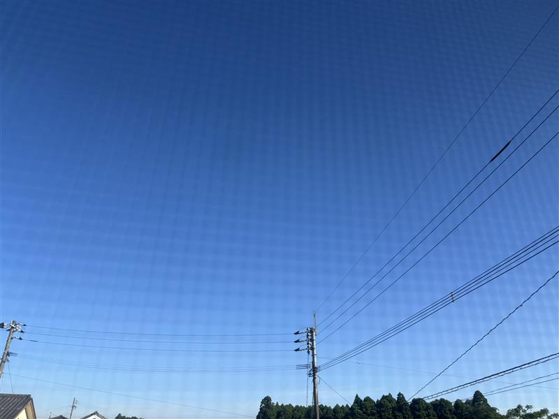 おはようございます。
本日もスッキリ快晴☀️
連日お洗濯日和ですが、本日は暑くも寒くもなく気持ちの良い朝です。（日中は熱中症に引き続き要注意！）
本日は鹿屋へ企業説明会に行きます🚕
お仕事と健康に感謝してファイト📣
#イマソラ #企業公式相互フォロー #企業公式が朝の挨拶を言い合う #鹿児島