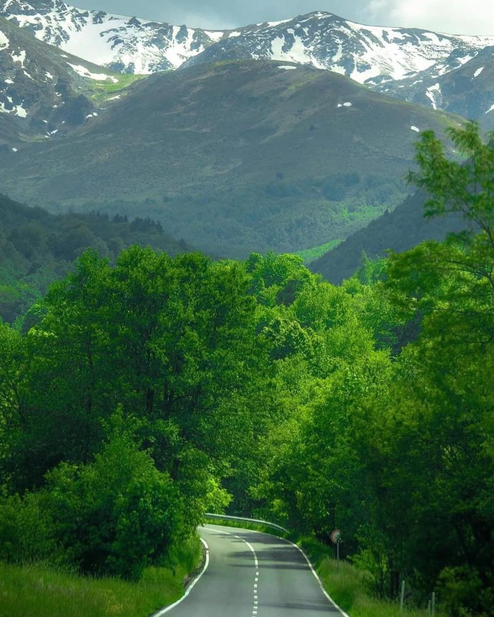 #sharrmountains 🇽🇰
