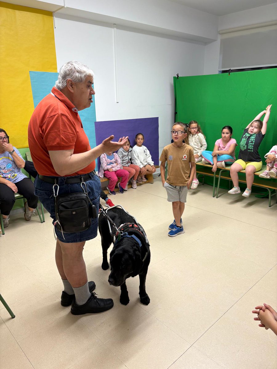 🐕‍🦺🦮Alumnado de 2.º de Primaria conociendo a un perro guía muy especial, gracias a Alicia y a Pedro, de Ciudad de los Niños.
@ciudad_de_los_ninos_carbajosa 
@ayuntamientocarbajosa 
#perroguía 
#ceippablopicasso