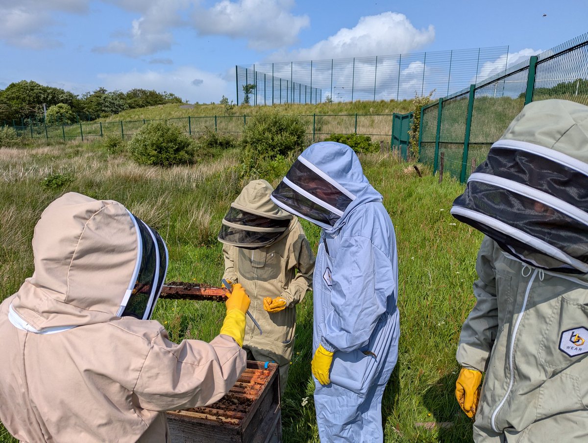 Garnock HE CS DYW (@garnockhe_cs) on Twitter photo Why not join us at Bee Club on Wednesdays after school? 🌼🍯
Our hardworking bees are making loads of honey this year. Speak to Mrs Gilgallon or Mrs Pettigrew and come see what the buzz is about! 🐝💛 <a href="/GarnockCampus/">Garnock Community Campus</a> Why not join us at Bee Club on Wednesdays after school? 🌼🍯
Our hardworking bees are making loads of honey this year. Speak to Mrs Gilgallon or Mrs Pettigrew and come see what the buzz is about! 🐝💛 <a href="/GarnockCampus/">Garnock Community Campus</a>