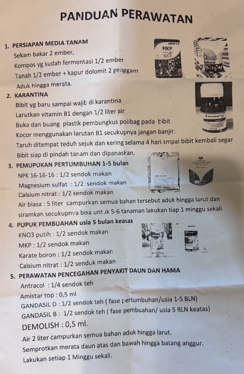 2naheru's tweet photo. Panduan Perawatan Tanaman Anggur https://t.co/yIjM7pLQzp