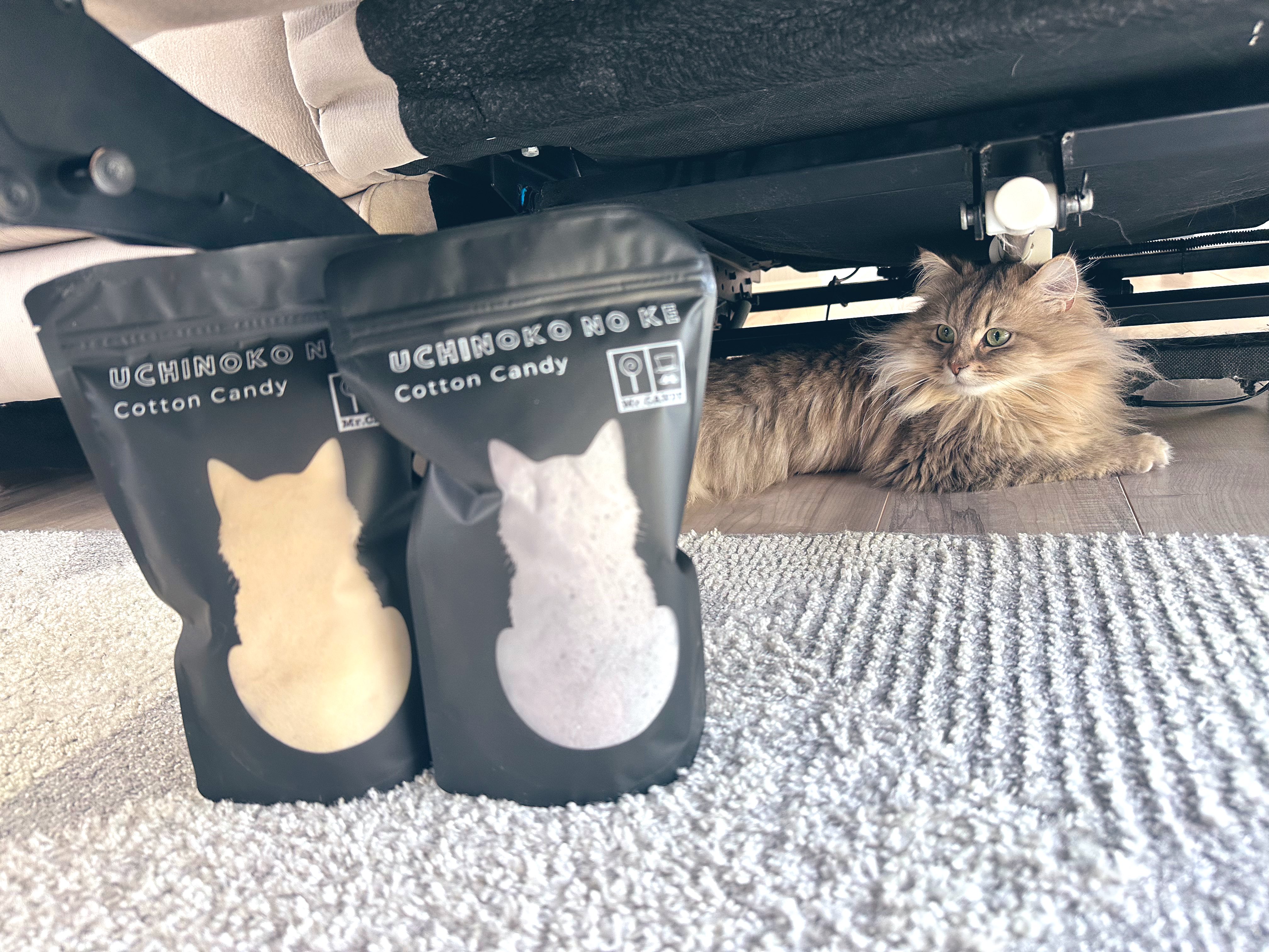 more-cats　どんぐりひろたん ちょコンとキツネくるんとおねむLMC わたあめ/Chokon to Kitsune