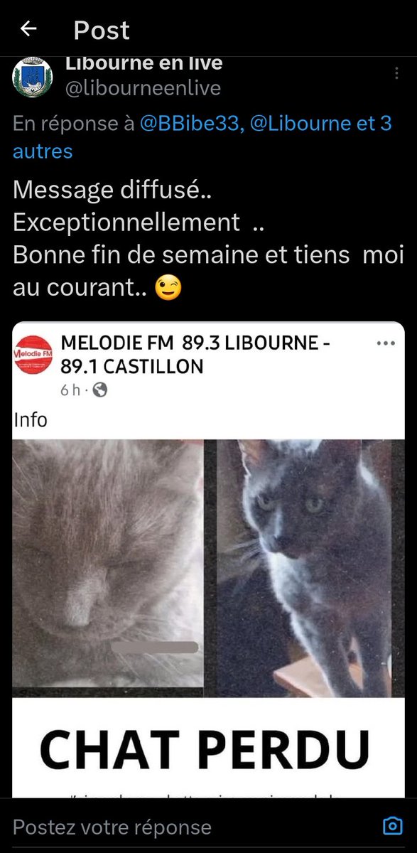 Libourne en live tweet media